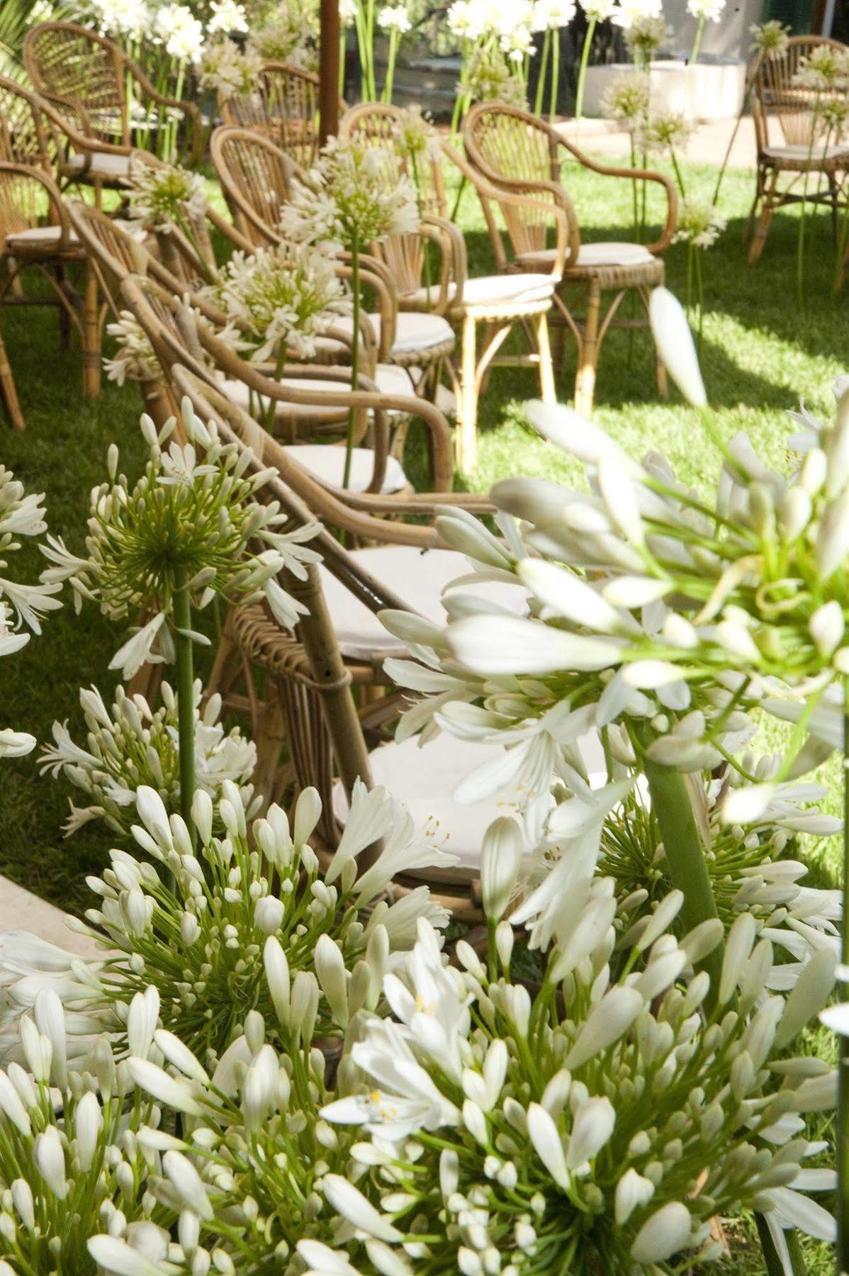 Villa Magnolia Relais Рим Экстерьер фото